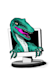 illustrate any dinosaur you want