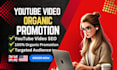 do viral youtube video promotion for organic growth