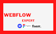fix webflow bugs or redesign your webflow website