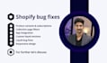 provide expert shopify bug fix and custom coding