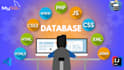 be your expert java, python, c and sql programmer for bots and database projects