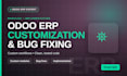 customize, implement, and fix bugs in your odoo erp