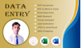 do PDF conversion, excel or word data entry, copy paste