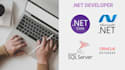 develop c sharp , dot net and asp net mvc application
