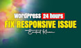 do website responsive issue fixing in 24 hours