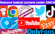 remove copyrighted and leaked content under dmca