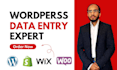 do wordpress data entry, product listing, copy paste job