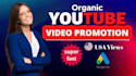 do organic youtube music video promotion via google ads to gain views