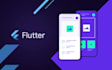 build a professional flutter mobile app with clean UI