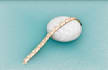do 3d jewelry design and rendering services
