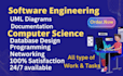 do computer science projects and task and assignments  essays and report