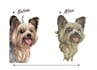 digitize image for embroidery digitizing logo design in dst pes pxf in 1 hour