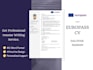 do professional europass CV, UK CV, german resume cover letter writing service