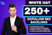 provide premium high authority dofollow seo backlinks for google ranking