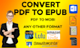 concert PDF to epub and do ebook formating
