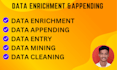 do data enrichment, data appending, data entry