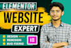 design, redesign and customize you website using elementor