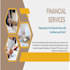 prepare financial statements, profit and loss, balance sheet, financial reports