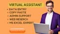do data entry and copy paste job
