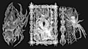 gothic abstract sketch, gothic logo,neotribal