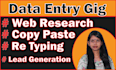 do data entry, copy paste, web research, retyping and lead generation work