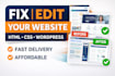 fix, edit and modify your existing website
