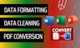 do data formatting, data cleaning, pdf  documents conversion, typing, retyping