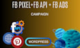 setup fb pixel, fb conversation API, manage fb ads campaign