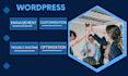 manage update, maintain, fix, optimize wordpress website