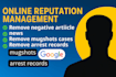 permanently remove negative articles,mugshots and arrest records from google