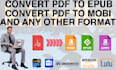 convert PDF to epub and PDF to amazon kindle