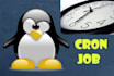 write a custom cron job shell script for automated tasks