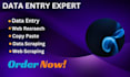 do data entry,copy paste,web research,data scraping