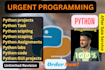 do python coding and projects from beginners to advance