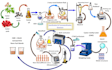 make scientific figures, graphical abstract and illustrations