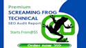 premium screaming frog technical SEO spider audit report