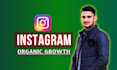 do instagram organic growth and promotion to grow instagram followers