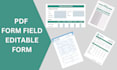 create PDF editable form and transform PDF into field form