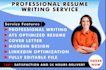 provide professional resume writing services, CV, cover letter and linkedin