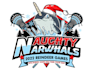 design modern lacrosse logo