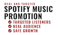 do professional spotify music promotion with google ads