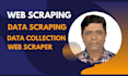 perform web scraping, data scraping, data mining, and web scraper