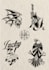 hand drawn cool oldschool tattoo