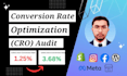 audit your shopify, ecommerce site for conversion rate optimization, cro