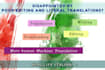 translate english to italian, proofread, write content