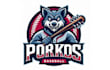 create beautiful wolf baseball mascot logo only 12 hours