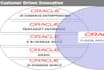 provide services of oracle db, odoo, sql queries, mysql, erp, peoplesoft