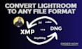 expertly convert lightroom presets to any format