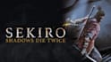 mod sekiro with your ideas