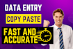 do fast and accurate data entry, copy paste  service